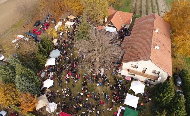 Festival mlade rakije u Mirgešu 11. studenoga